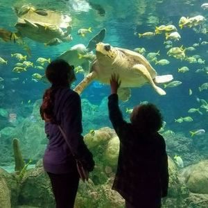 Meet your Posher, Nicolena